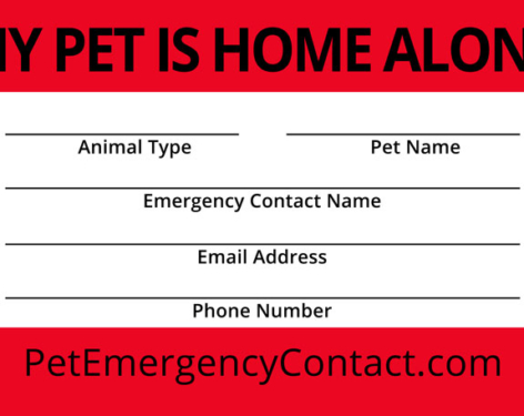 Pet Emergency Contact